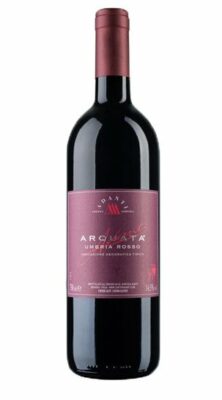 VINO ARQUATA ROSSO 08 ADANTI 1,5LT